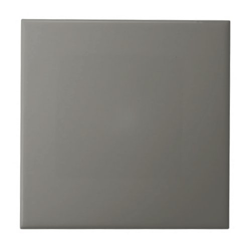 Gray Gauntlet Square Kitchen and Bathroom Ceramic Tile