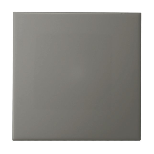 Gray Gauntlet Square Kitchen and Bathroom Ceramic Tile (Front)