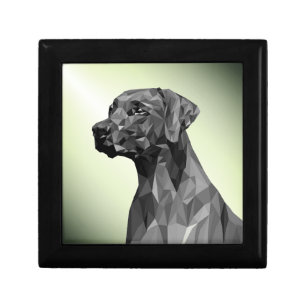 Gray Geometric Dog on Green Gift Box