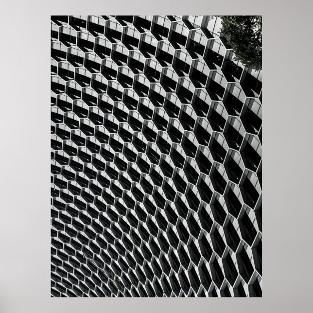 Gray glass roof poster (Front)