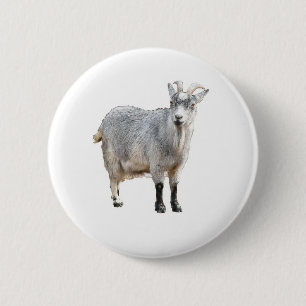 Gray Goat Farm Animal, Cute Nature Photography Button