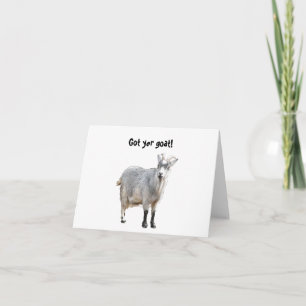 Gray Goat Farm Animal, Cute Nature Photography Card