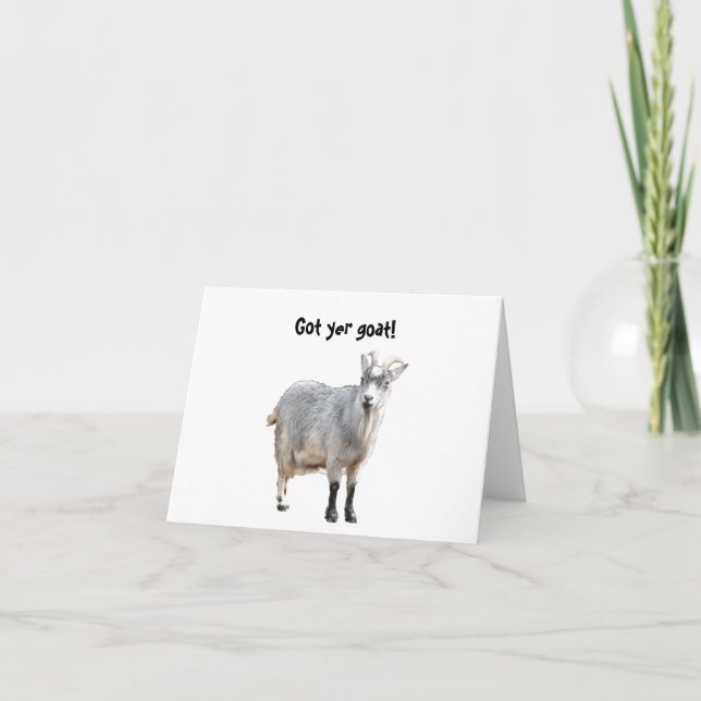 Gray Goat Farm Animal, Cute Nature Photography Card (Front)