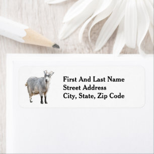 Gray Goat Farm Animal, Cute Nature Photography Label