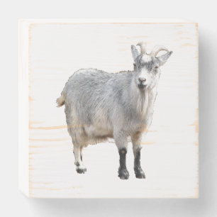 Gray Goat Farm Animal, Cute Nature Photography Wooden Box Sign