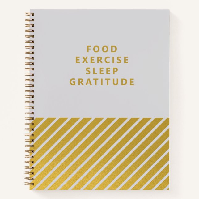 Gray Gold Stripes Minimalist Gratitude Journal (Front)