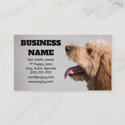 Gray Goldendoodle Dog Business Card