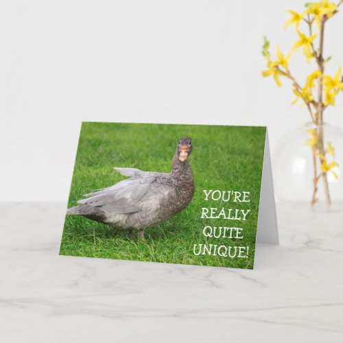 Gray Goose Cute Flattery Birthday Card