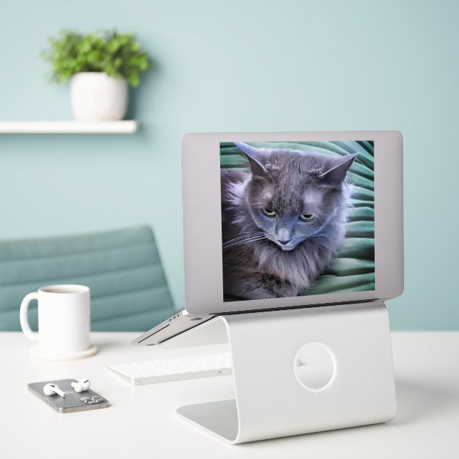 Gray Green Eyed Cat Custom-Cut Vinyl Sticker (Laptop On Desk)