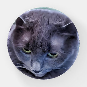 Gray Green Eyed Cat Paperweight