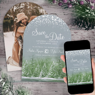 Gray green winter trees lakeside photo wedding save the date