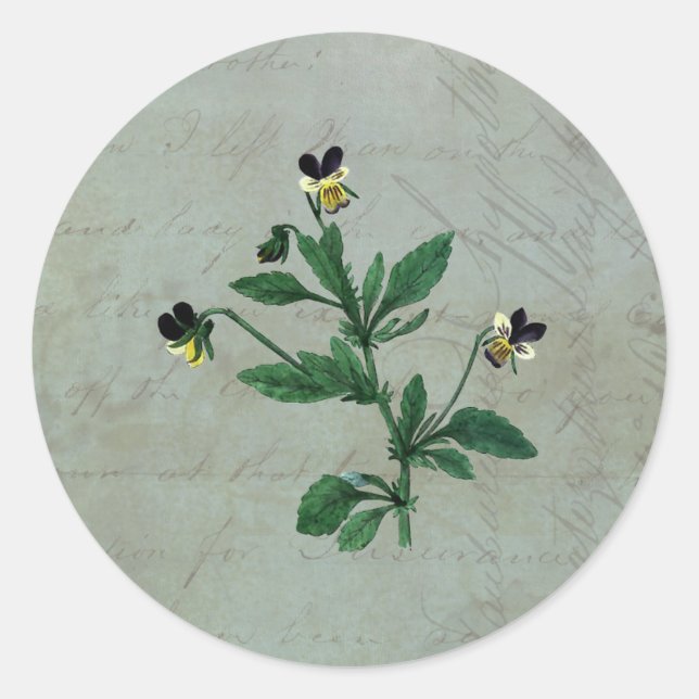Gray Green with Botanical Violas Classic Round Sticker (Front)