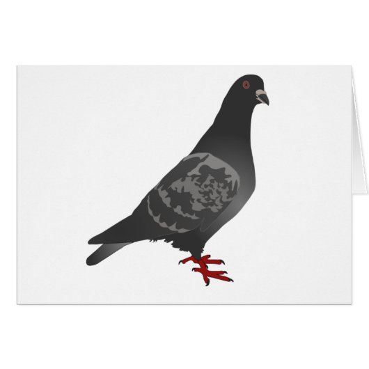 Gray/Grey Pigeon Cards (Front Horizontal)