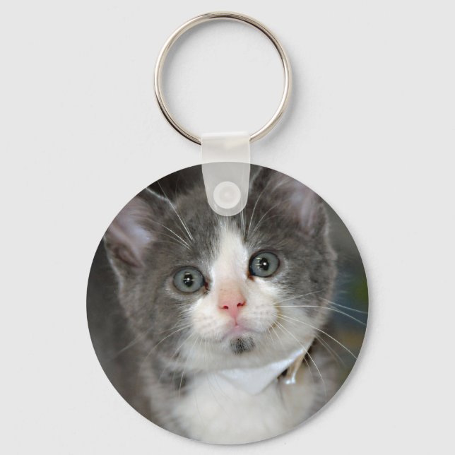 Gray/Grey/Silver and White Kitten Keychain (Front)
