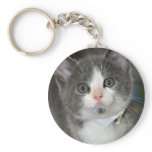 Gray/Grey/Silver and White Kitten Keychain