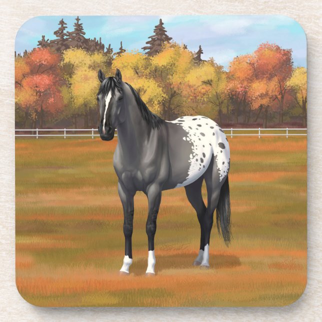 Gray Grulla Appaloosa Quarter Horse Stallion Beverage Coaster (Front)