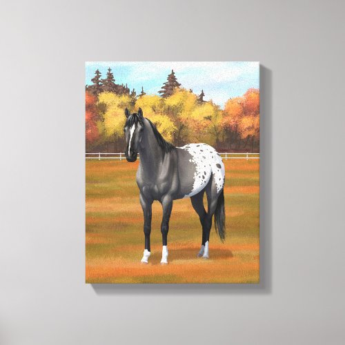 Gray Grulla Appaloosa Quarter Horse Stallion Canvas Print