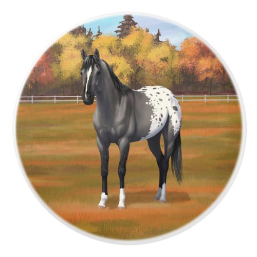 Gray Grulla Appaloosa Quarter Horse Stallion Ceramic Knob
