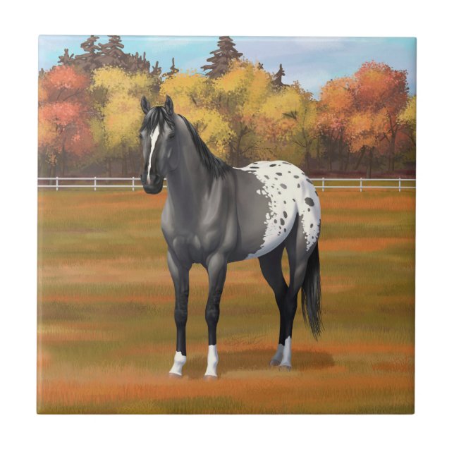 Gray Grulla Appaloosa Quarter Horse Stallion Ceramic Tile (Front)