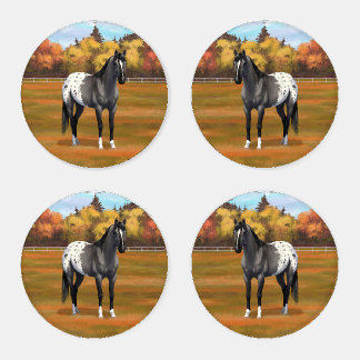 Gray Grulla Appaloosa Quarter Horse Stallion Coaster Set