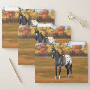 Gray Grulla Appaloosa Quarter Horse Stallion File Folder