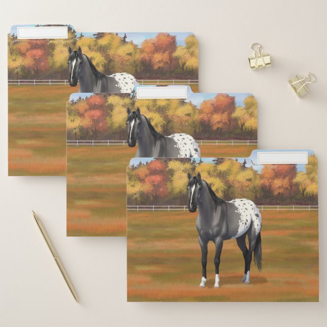 Gray Grulla Appaloosa Quarter Horse Stallion File Folder (Set)