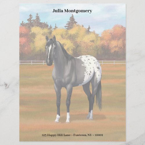 Gray Grulla Appaloosa Quarter Horse Stallion Letterhead