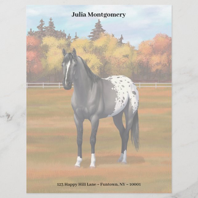 Gray Grulla Appaloosa Quarter Horse Stallion Letterhead (Front)
