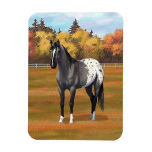 Gray Grulla Appaloosa Quarter Horse Stallion Magnet