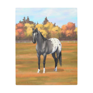 Gray Grulla Appaloosa Quarter Horse Stallion Metal Print