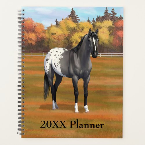 Gray Grulla Appaloosa Quarter Horse Stallion Planner
