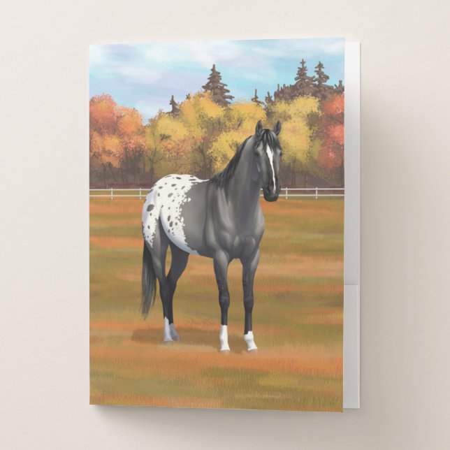 Gray Grulla Appaloosa Quarter Horse Stallion Pocket Folder (Front)
