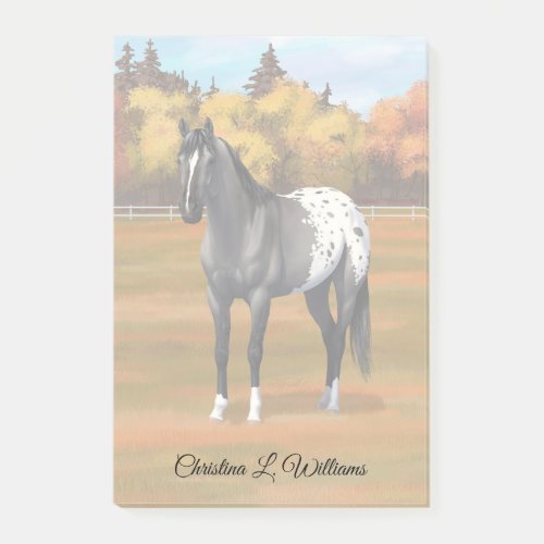 Gray Grulla Appaloosa Quarter Horse Stallion Post_it Notes