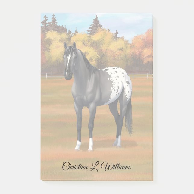 Gray Grulla Appaloosa Quarter Horse Stallion Post-it Notes (Front)