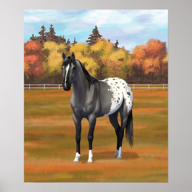 Gray Grulla Appaloosa Quarter Horse Stallion Poster (Front)