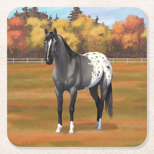 Gray Grulla Appaloosa Quarter Horse Stallion Square Paper Coaster (Front)