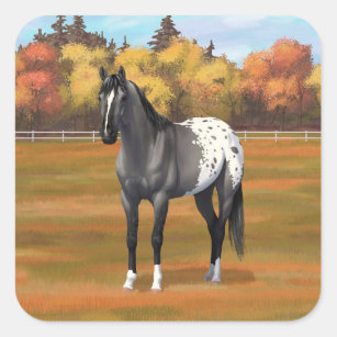 Gray Grulla Appaloosa Quarter Horse Stallion Square Sticker