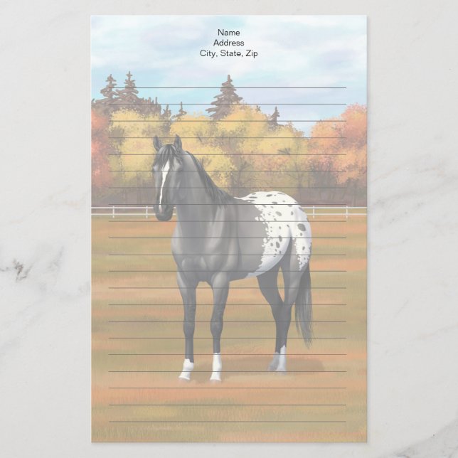 Gray Grulla Appaloosa Quarter Horse Stallion Stationery (Front)