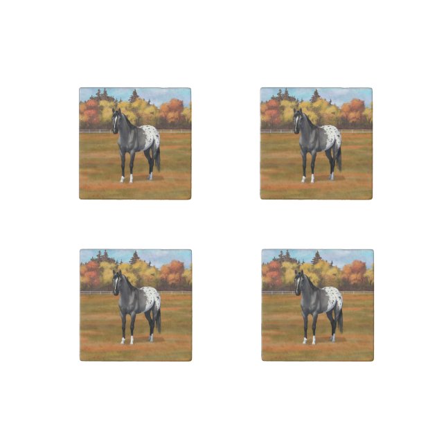Gray Grulla Appaloosa Quarter Horse Stallion Stone Magnet (Front)