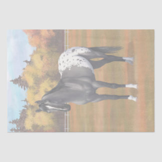 Gray Grulla Appaloosa Quarter Horse Stallion Tissue Paper