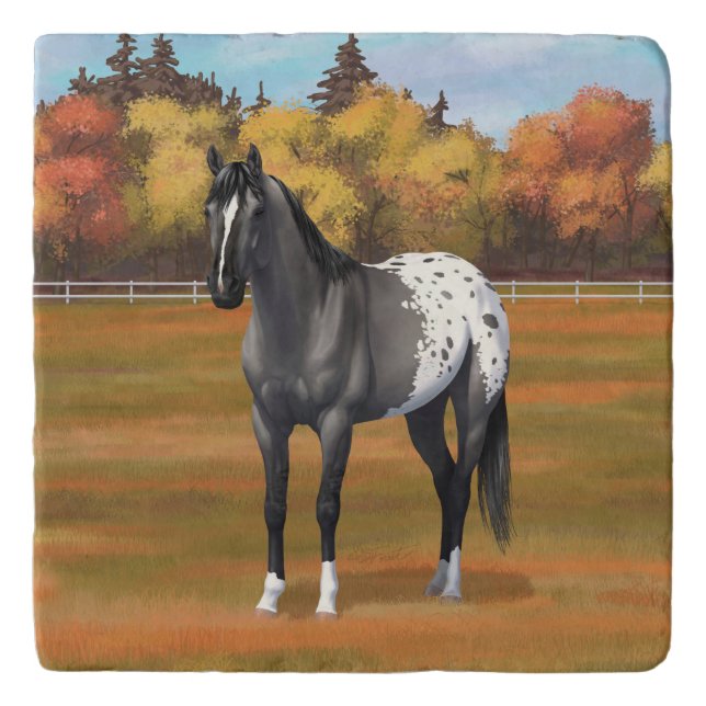 Gray Grulla Appaloosa Quarter Horse Stallion Trivet (Front)