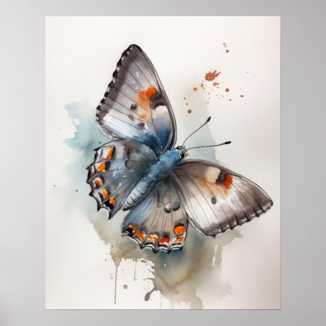 Gray Hairstreak Butterfly Art Print Poster (Front)