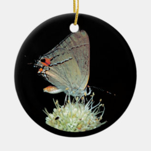 Gray Hairstreak Butterfly Ceramic Ornament