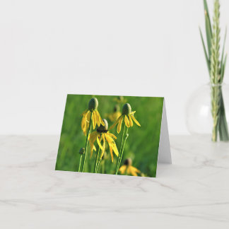 Gray-headed Coneflower Note Card