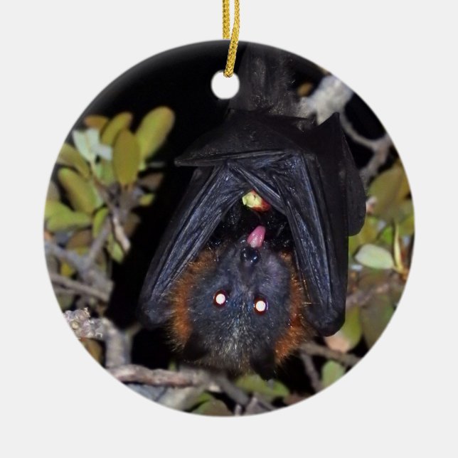 Gray-Headed Flying Fox Ceramic Ornament (Front)
