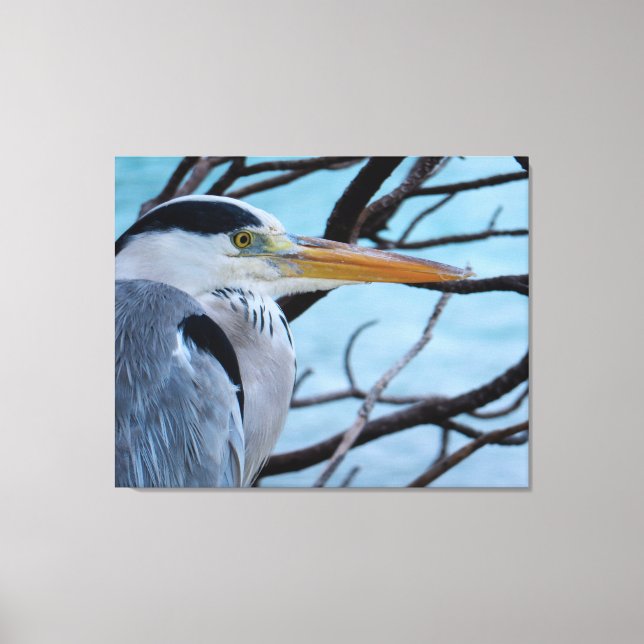 Gray Heron Canvas Print (Front)