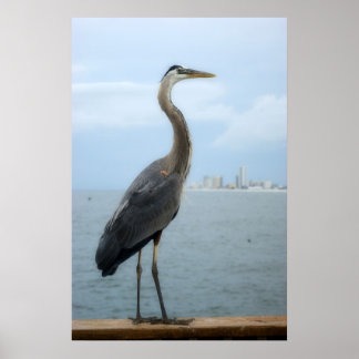 gray heron on the pier poster