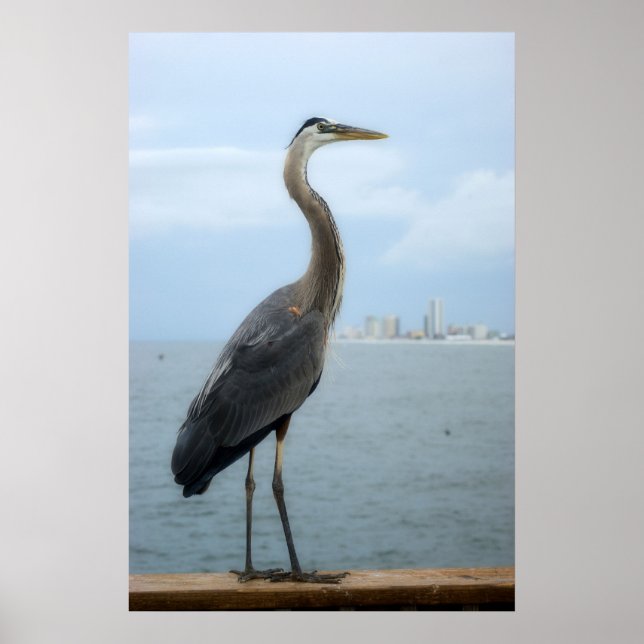 gray heron on the pier poster (Front)