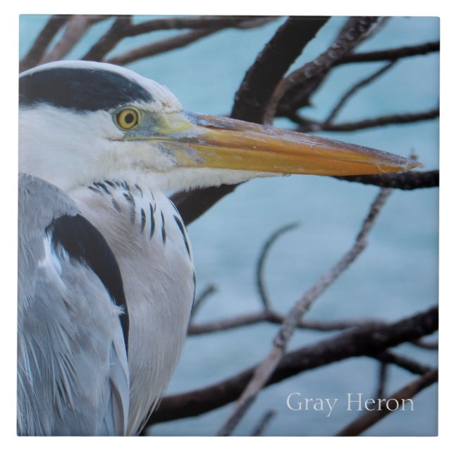 Gray Heron Tile (Front)