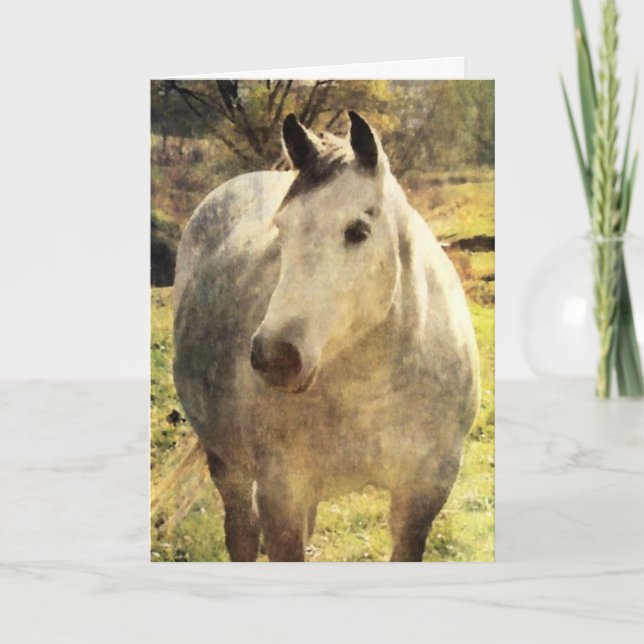 Gray Horse, Birthday Card (Front)